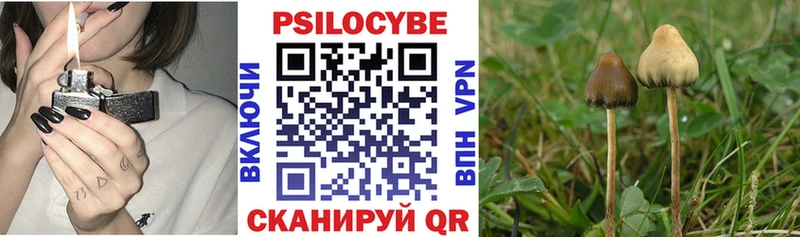 Галлюциногенные грибы мицелий  площадка состав  Сурск  мега ССЫЛКА 