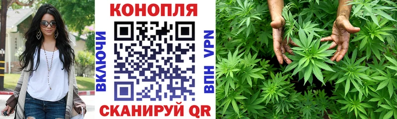 MEGA зеркало Сурск Бошки марихуана OG Kush
